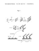 METHOD FOR ANALYZING BIOMOLECULES AND BIOMOLECULE ANALYZER diagram and image