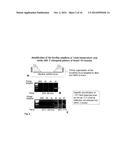 Methods for Multiplexing Recombinase Polymerase Amplification diagram and image