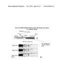 Methods for Multiplexing Recombinase Polymerase Amplification diagram and image