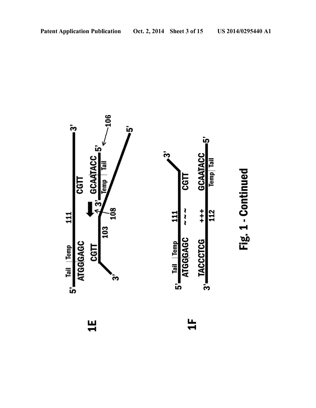 Nucleic Acid Amplification - diagram, schematic, and image 04