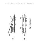 Nucleic Acid Amplification diagram and image