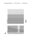 Nucleic Acid Amplification diagram and image