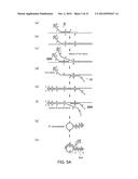 PRIMER SET, METHOD FOR AMPLIFYING TARGET NUCLEIC ACID SEQUENCE USING SAME,     AND METHOD FOR DETECTING MUTATED NUCLEIC ACID USING SAME diagram and image