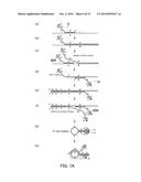 PRIMER SET, METHOD FOR AMPLIFYING TARGET NUCLEIC ACID SEQUENCE USING SAME,     AND METHOD FOR DETECTING MUTATED NUCLEIC ACID USING SAME diagram and image