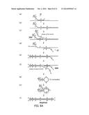 PRIMER SET, METHOD FOR AMPLIFYING TARGET NUCLEIC ACID SEQUENCE USING SAME,     AND METHOD FOR DETECTING MUTATED NUCLEIC ACID USING SAME diagram and image