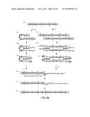 PRIMER SET, METHOD FOR AMPLIFYING TARGET NUCLEIC ACID SEQUENCE USING SAME,     AND METHOD FOR DETECTING MUTATED NUCLEIC ACID USING SAME diagram and image