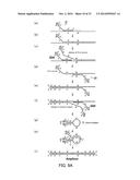 PRIMER SET, METHOD FOR AMPLIFYING TARGET NUCLEIC ACID SEQUENCE USING SAME,     AND METHOD FOR DETECTING MUTATED NUCLEIC ACID USING SAME diagram and image