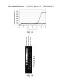 PRIMER SET, METHOD FOR AMPLIFYING TARGET NUCLEIC ACID SEQUENCE USING SAME,     AND METHOD FOR DETECTING MUTATED NUCLEIC ACID USING SAME diagram and image