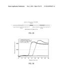 PRIMER SET, METHOD FOR AMPLIFYING TARGET NUCLEIC ACID SEQUENCE USING SAME,     AND METHOD FOR DETECTING MUTATED NUCLEIC ACID USING SAME diagram and image