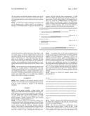 PRIMER SET, METHOD FOR AMPLIFYING TARGET NUCLEIC ACID SEQUENCE USING SAME,     AND METHOD FOR DETECTING MUTATED NUCLEIC ACID USING SAME diagram and image