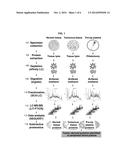 RENAL CELL CARCINOMA BIOMARKERS diagram and image