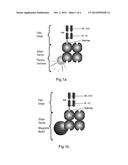 METHOD OF REVERSIBLY STAINING A TARGET CELL diagram and image