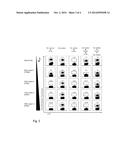 METHOD OF REVERSIBLY STAINING A TARGET CELL diagram and image