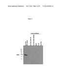 ELISA Detection of Urine DEK to Predict and Diagnose Bladder Cancer in     Humans diagram and image