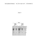 ELISA Detection of Urine DEK to Predict and Diagnose Bladder Cancer in     Humans diagram and image