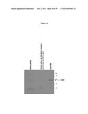 ELISA Detection of Urine DEK to Predict and Diagnose Bladder Cancer in     Humans diagram and image