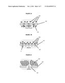 Paper Based Diagnostic Test diagram and image