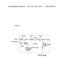 MOLECULAR FLUX RATES THROUGH CRITICAL PATHWAYS MEASURED BY STABLE ISOTOPE     LABELING IN VIVO, AS BIOMARKERS OF DRUG ACTION AND DISEASE ACTIVITY diagram and image