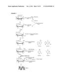 MOLECULAR FLUX RATES THROUGH CRITICAL PATHWAYS MEASURED BY STABLE ISOTOPE     LABELING IN VIVO, AS BIOMARKERS OF DRUG ACTION AND DISEASE ACTIVITY diagram and image