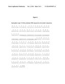 Polypeptides Having Protease Activity and Polynucleotides Encoding Same diagram and image