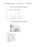 Polypeptides Having Protease Activity and Polynucleotides Encoding Same diagram and image