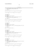 DNA POLYMERASES WITH IMPROVED ACTIVITY diagram and image