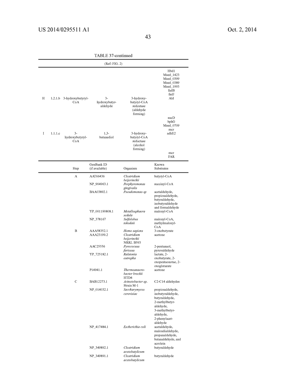 ORGANISMS FOR THE PRODUCTION OF 1,3-BUTANEDIOL - diagram, schematic, and image 51