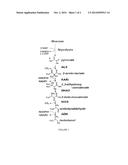 High-Performance Ketol-Acid Reductoisomerases diagram and image