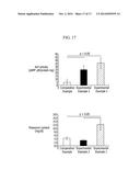 CONTAINER FOR CULTURING CELLS HAVING NANOSTRUCTURES, AND PREPARATION     METHOD THEREOF diagram and image