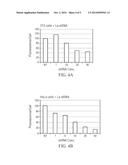 METHODS AND COMPOSITIONS RELATING TO POLYPEPTIDES WITH RNASE III DOMAINS     THAT MEDIATE RNA INTERFERENCE diagram and image