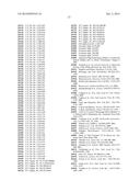 METHODS AND COMPOSITIONS RELATING TO POLYPEPTIDES WITH RNASE III DOMAINS     THAT MEDIATE RNA INTERFERENCE diagram and image