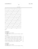 METHODS AND COMPOSITIONS RELATING TO POLYPEPTIDES WITH RNASE III DOMAINS     THAT MEDIATE RNA INTERFERENCE diagram and image