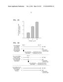 METHOD FOR MANUFACTURING UMBILICAL CORD EXTRACT AND USAGE OF THE SAME diagram and image