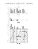 Using RNA-guided FokI Nucleases (RFNs) to Increase Specificity for     RNA-Guided Genome Editing diagram and image