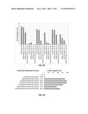 Using RNA-guided FokI Nucleases (RFNs) to Increase Specificity for     RNA-Guided Genome Editing diagram and image