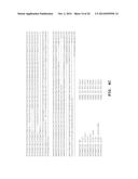 Using RNA-guided FokI Nucleases (RFNs) to Increase Specificity for     RNA-Guided Genome Editing diagram and image