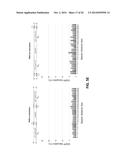 Using RNA-guided FokI Nucleases (RFNs) to Increase Specificity for     RNA-Guided Genome Editing diagram and image