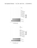 Using RNA-guided FokI Nucleases (RFNs) to Increase Specificity for     RNA-Guided Genome Editing diagram and image