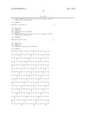 Using RNA-guided FokI Nucleases (RFNs) to Increase Specificity for     RNA-Guided Genome Editing diagram and image