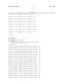 Using RNA-guided FokI Nucleases (RFNs) to Increase Specificity for     RNA-Guided Genome Editing diagram and image