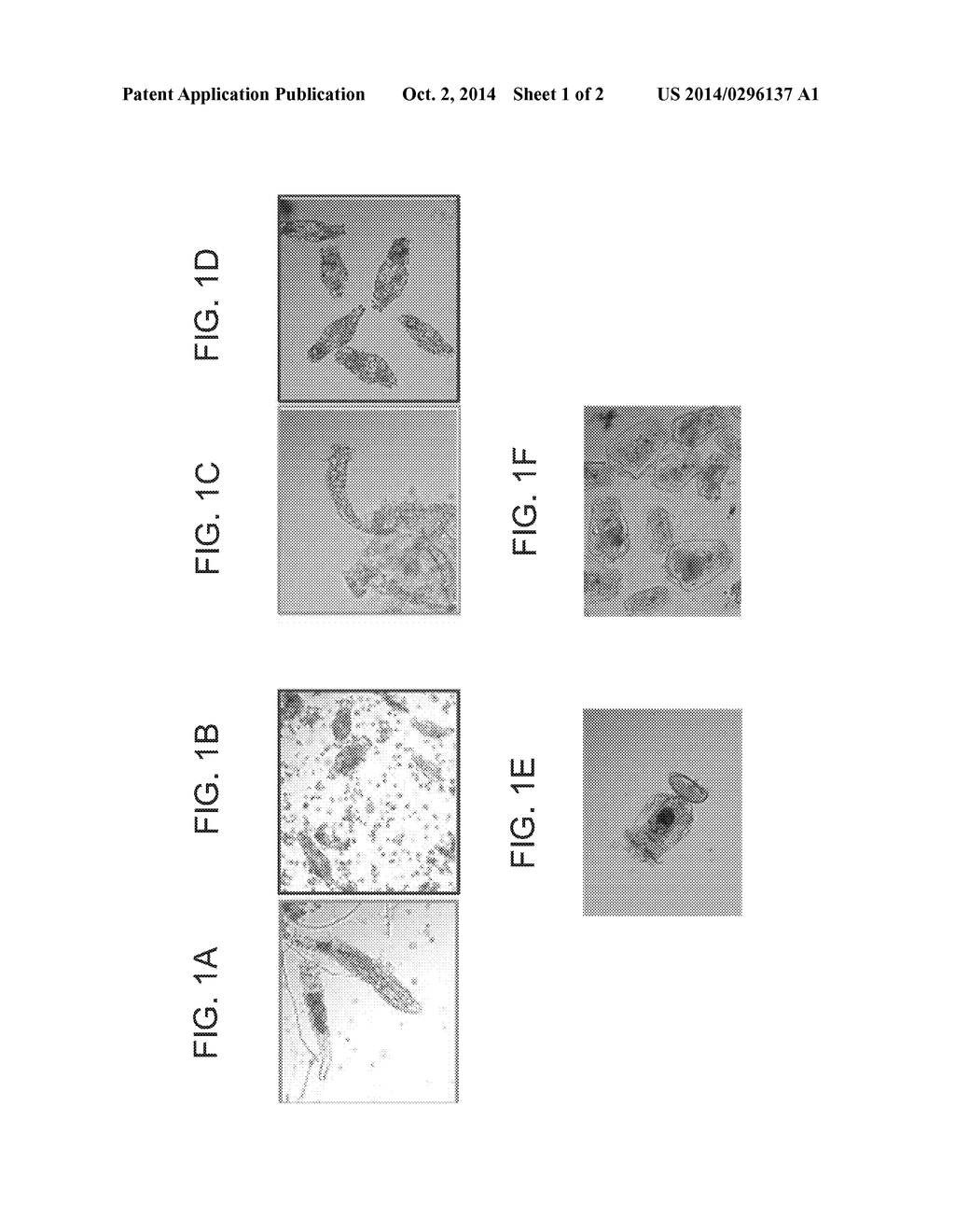 METHODS AND COMPOSITIONS FOR CONTROLLING ROTIFERS - diagram, schematic, and image 02