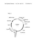 METHODS AND COMPOSITIONS FOR CONTROLLING ROTIFERS diagram and image