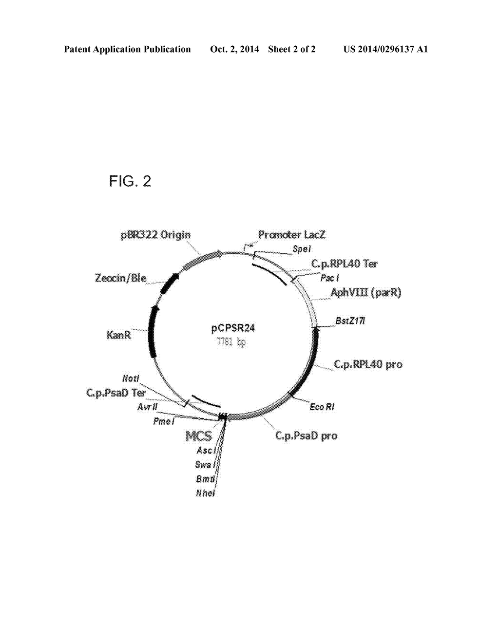 METHODS AND COMPOSITIONS FOR CONTROLLING ROTIFERS - diagram, schematic, and image 03