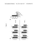 MITOCHONDRIAL-DERIVED PEPTIDE MOTS3 REGULATES METABOLISM AND CELL SURVIVAL diagram and image