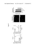 MITOCHONDRIAL-DERIVED PEPTIDE MOTS3 REGULATES METABOLISM AND CELL SURVIVAL diagram and image