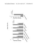 MITOCHONDRIAL-DERIVED PEPTIDE MOTS3 REGULATES METABOLISM AND CELL SURVIVAL diagram and image