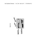 MITOCHONDRIAL-DERIVED PEPTIDE MOTS3 REGULATES METABOLISM AND CELL SURVIVAL diagram and image