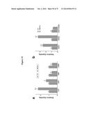 MITOCHONDRIAL-DERIVED PEPTIDE MOTS3 REGULATES METABOLISM AND CELL SURVIVAL diagram and image