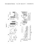 MITOCHONDRIAL-DERIVED PEPTIDE MOTS3 REGULATES METABOLISM AND CELL SURVIVAL diagram and image