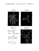 Compositions and Methods for Treating Obesity, Obesity Related Disorders     and for Inhibiting the Infectivity of Human Immunodeficiency Virus diagram and image